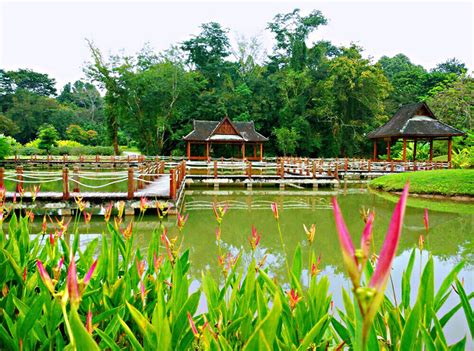 中国最大植物园之一，中科院西双版纳热带植物园