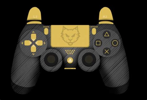 Image result for Input Overlay PS4 Controller