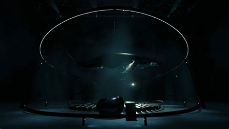 Program VR Demo 的图像结果