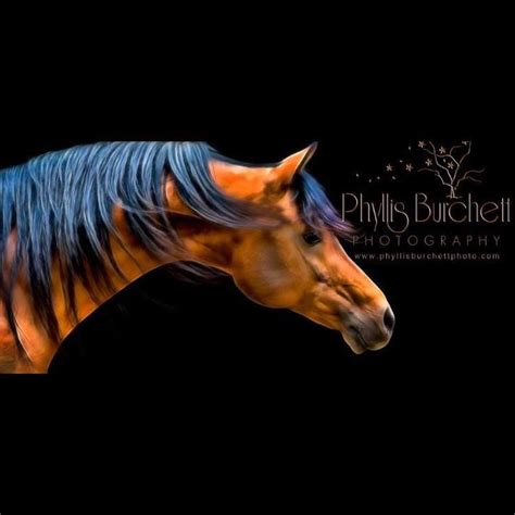 Grammier-Oberle Funeral Home & Greenlawn Memorial Park | Port Arthur TX