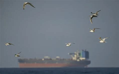 Hormuz blockade strands Indian basmati exports despite backlog clearance