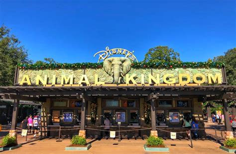 Disney's Animal Kingdom Guide - Key To The World Travel