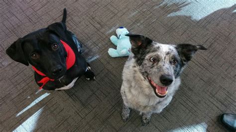 Tenizen Office Photos