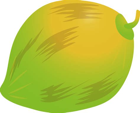 Coconut Fruit Clip Art