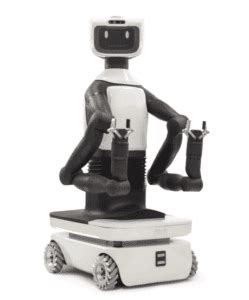 Pal Robot 的图像结果