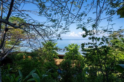 Photo 4 of 50 in Cascada de Luz by Studio Saxe - Dwell