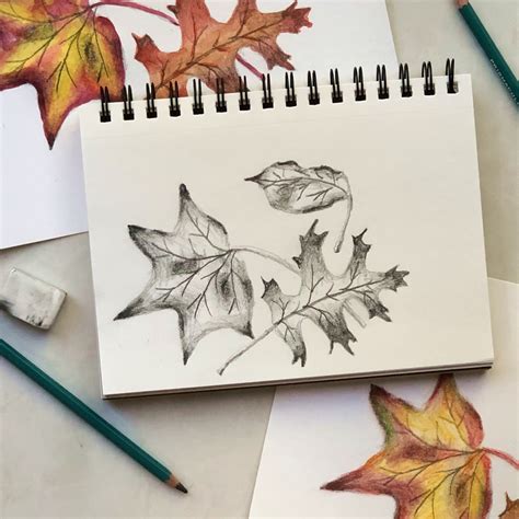 Image result for Fall Leaves Drawing