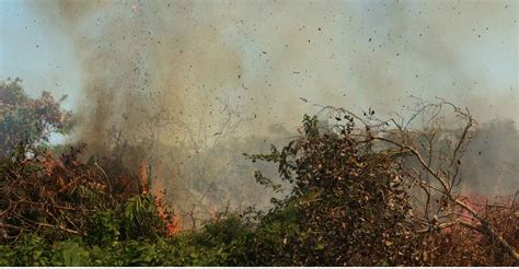 Wildfire Map Spotlight: Red Canyon Fire, Wyoming, USA