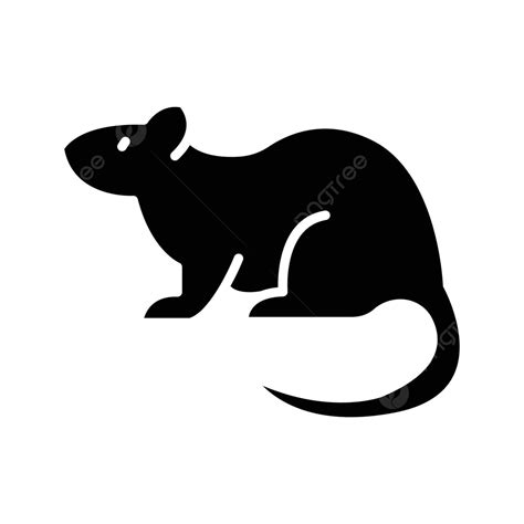 Black And White Rats
