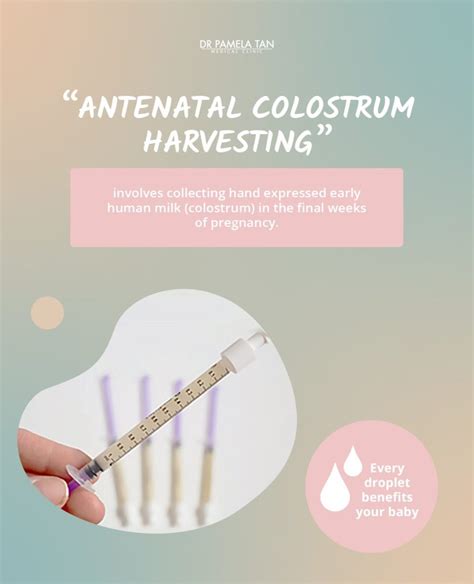 Image result for Expressing Colostrum
