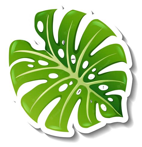 Printable Tropical Leaf Clipart