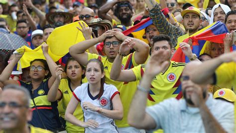 World Cup Fans 的图像结果