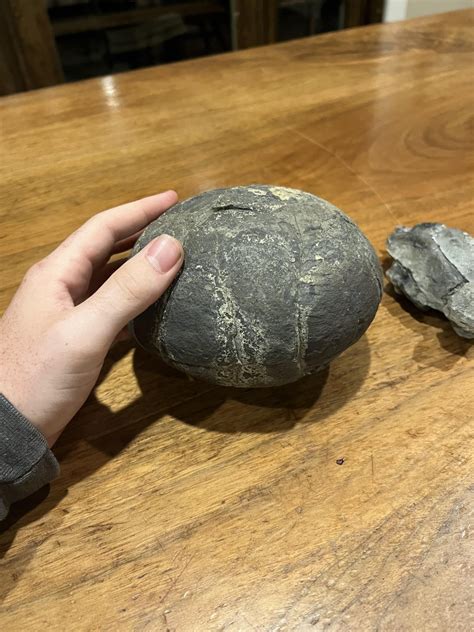 Need help identifying this rock looks like a giant egg sounds hollow : r/fossils