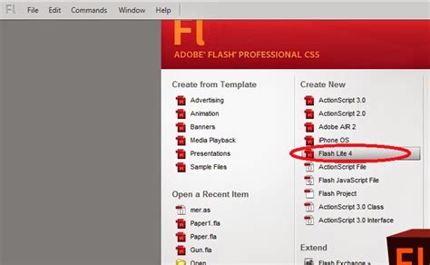 Basic Flash for Beginners 的图像结果