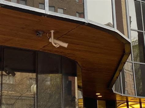 Aborted babies found in DC: Officials silent on investigation ...