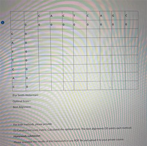 Needleman-Wunsch Tutorial 的图像结果