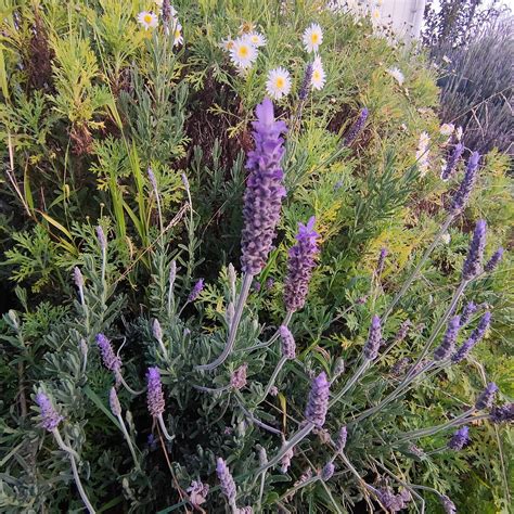 GLOW WORM MOTEL (Waitomo Caves) - Motel Reviews, Photos, Rate ...