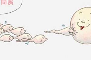 多囊怀孕为什么容易胎停，该怎么调理 - 哔哩哔哩
