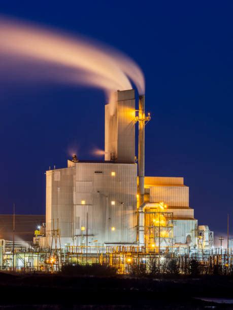 Digitize Your Business in Just 2 Weeks – Fast, Affordable & Hassle-Free