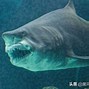 Image result for 生物恐怖活动