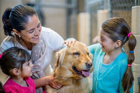 Berkeley Heights Animal Hospital: 5 Incredible Reasons To Adopt A ...