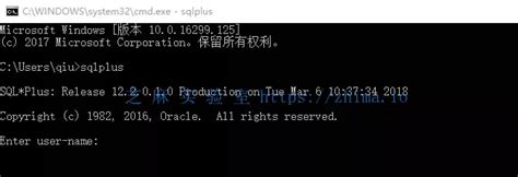 SQL Command for Devplus 的图像结果