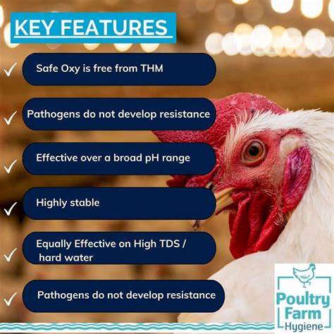 POULTRY DISINFECTANTS AND FEED SUPPLEMENTS - Poultry On bird spray ...