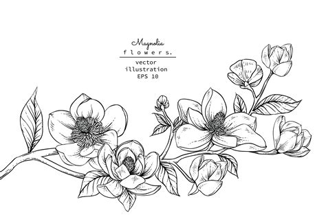 Logo De La Fleur De Magnolia