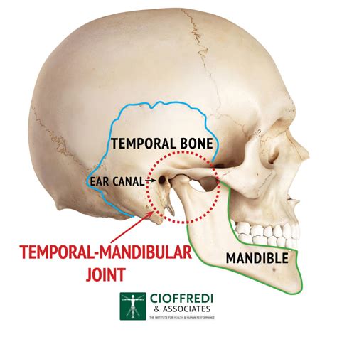 Treating TMJ - Cioffredi & Associates