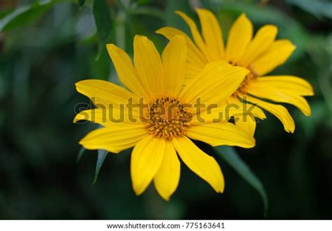 Image result for Basic Machine Learning Application Design Sample