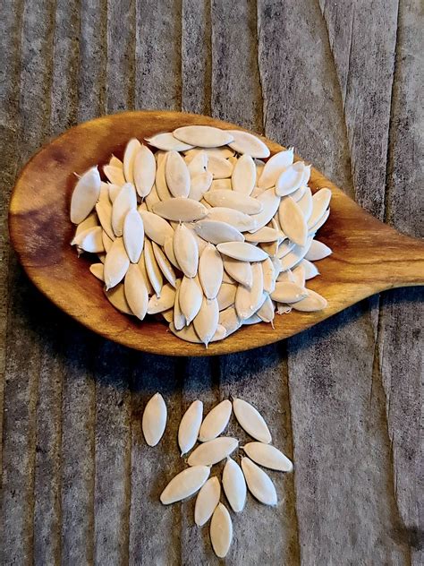 11 seeds and their health benefits you should know