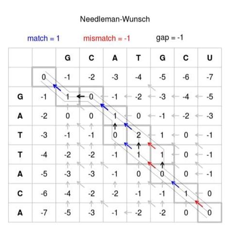 Needleman-Wunsch Tutorial 的图像结果