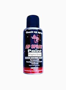 AP Aerosol Touch up Spray Paint for Maruti Car (Magma Grey) (for-Swift ...