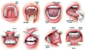 Dr. Shah Dental Square | Dr. Ronak Shah | Dr. Tapasi Shah | Dentist In ...