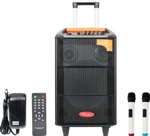 Wizzit 12 Inch High End Karaoke Bluetooth PA System Portable ...