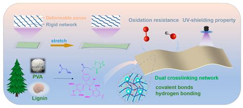Multifunctional Performance Lignin-Crosslinked-PVA Composite Film Based ...