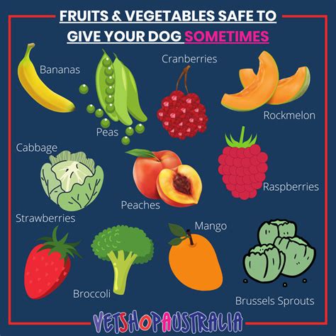 List Of Fruits And Vegetables Safe For Dogs at Grant Frederic blog
