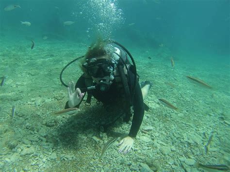 OCTOPUS DIVING CENTER (2026) All You Need to Know BEFORE You Go (with ...