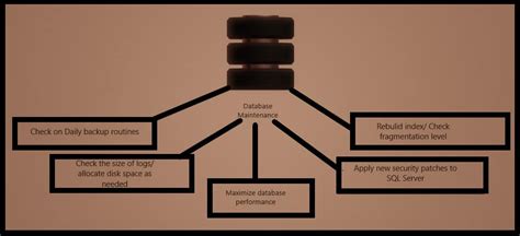 Image result for SQL Code Maintenance