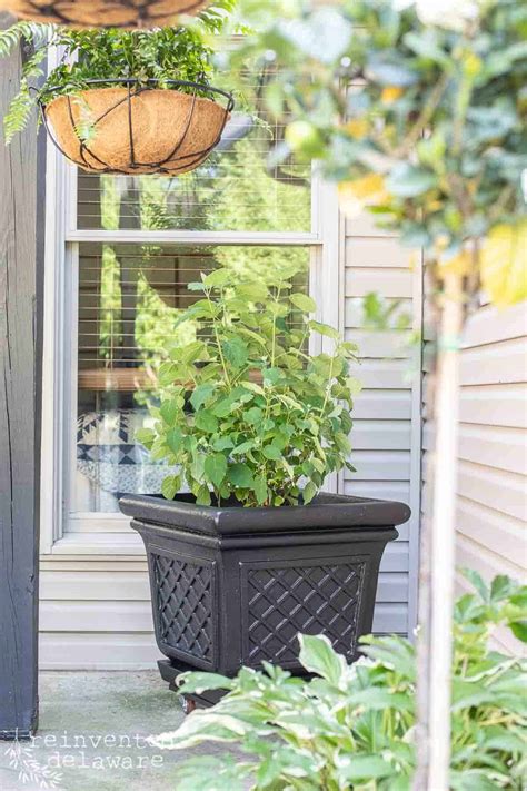 Front Porch Planter Ideas