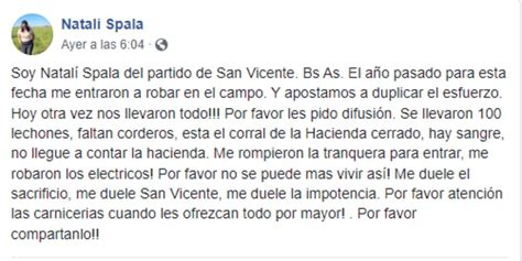 Le robaron 100 lechones de su campo y realizó un pedido: “otra vez me ...