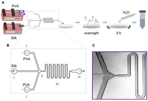 Silk Particle Production Based on Silk/PVA Phase Separation Using a ...