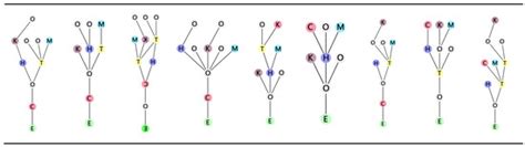 Quantitative Comparison of Space Syntax in Regional Characteristics of ...