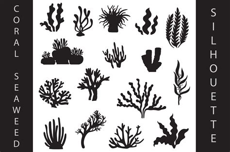 Coral Clip Art Black And White