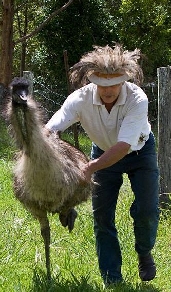Poultry:: Emu:: Catching and Handling Animal Husbandry :: Home