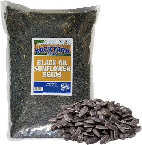 Amazon.com : Pennington Select Black Oil Sunflower Seed 40lbs : Patio ...