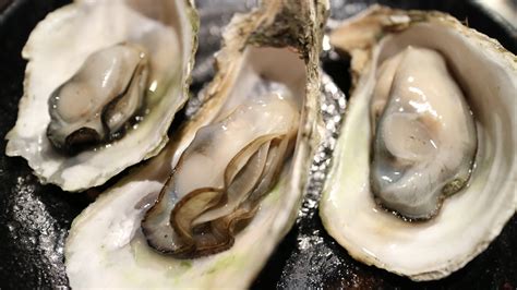 Free Images : food, oyster, seafood, barbecue, shell, invertebrate ...
