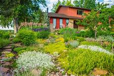 Low Water Garden by Centennial Water Offers Low Water Garden Kits For Big Low Water Garden