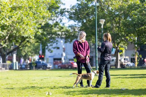 Neighbourhood parks and reserves | City of Melbourne