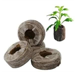Agro Experts Cocopeat Disc 40 mm - Pack of 50 Pcs Seed Germination Disc ...